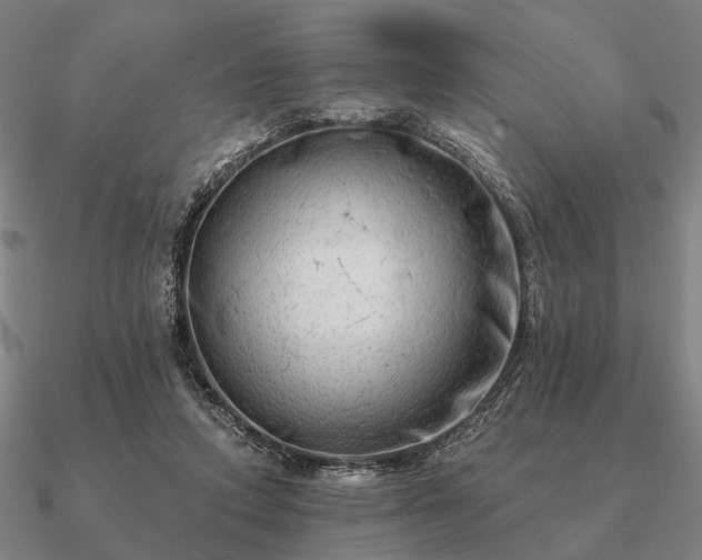 X0000090930354200708061607