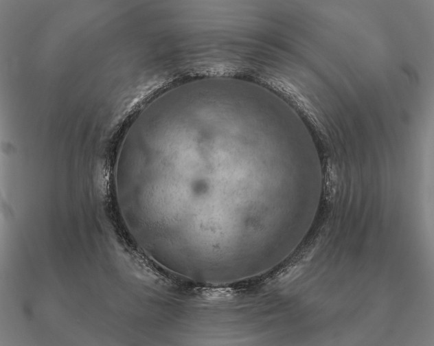 X0000090930355200708061607