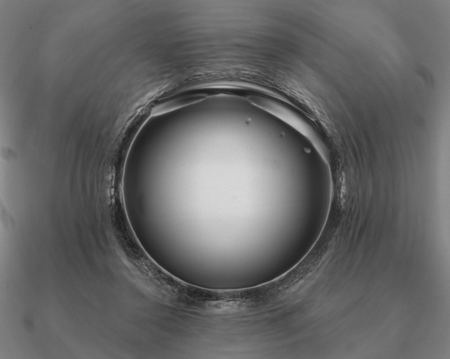 X0000090930356200708061607