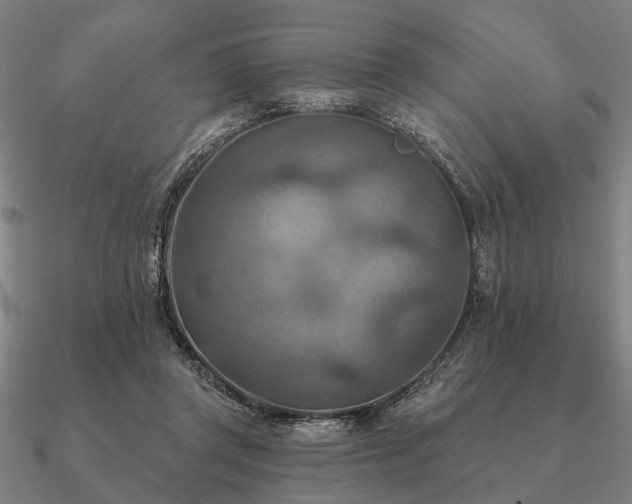 X0000090930357200708061607