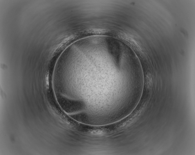 X0000090930358200708061607