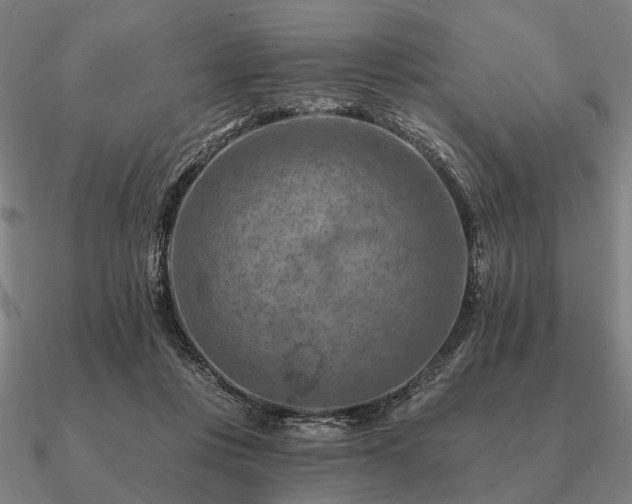 X0000090930359200708061607