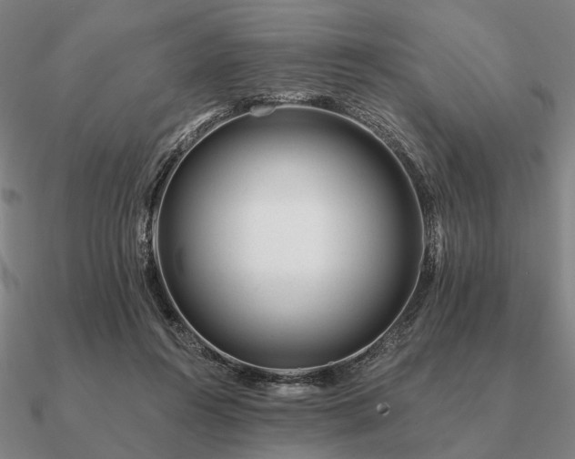 X0000090930360200708061607