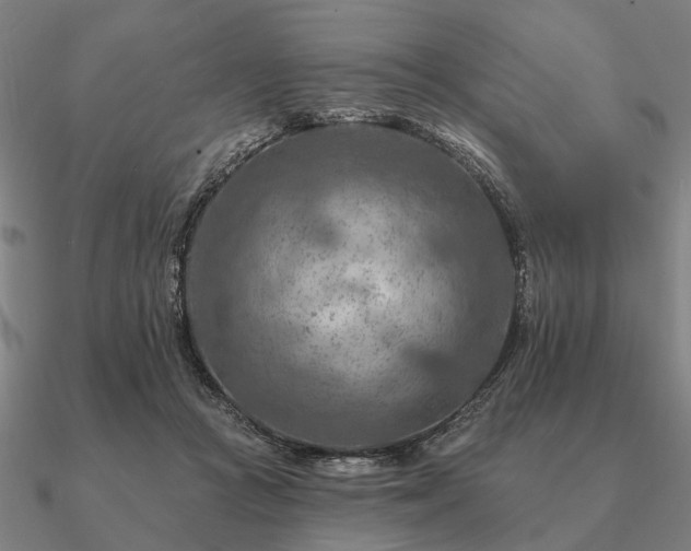 X0000090930361200708061607