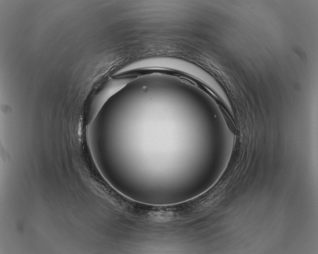 X0000090930362200708061607