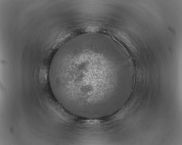 X0000090930363200708061607