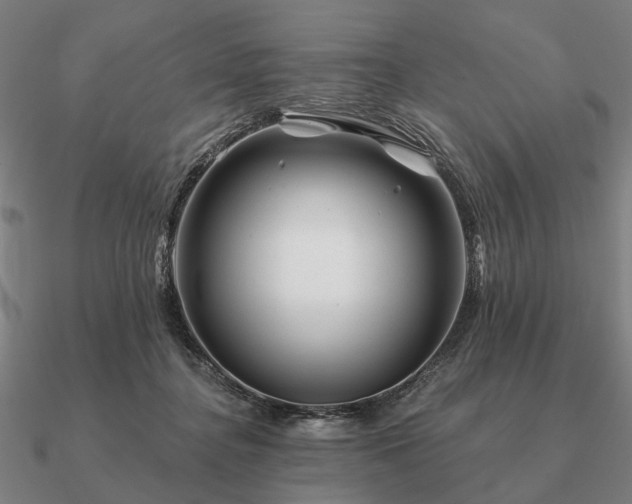 X0000090930364200708061607