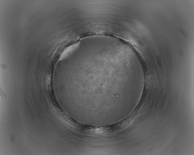 X0000090930365200708061607