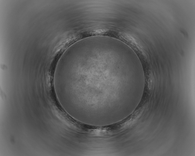 X0000090930366200708061607