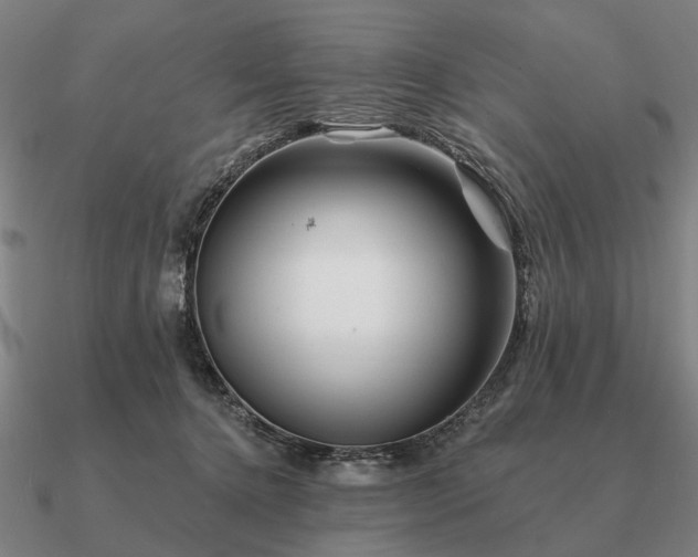 X0000090930368200708061607