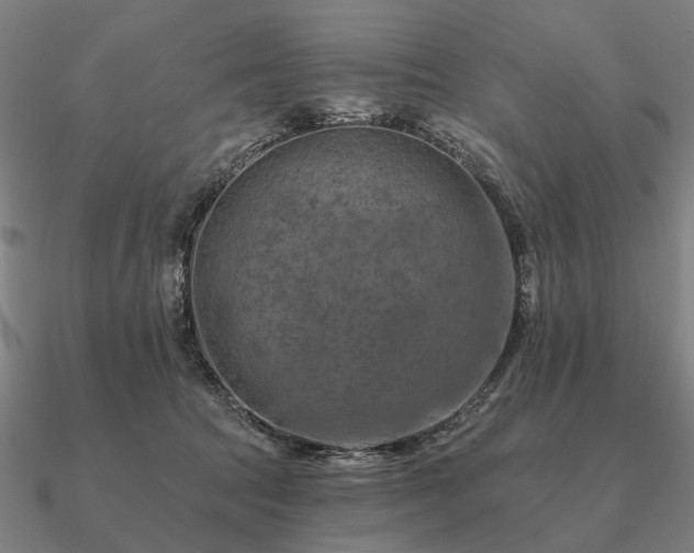 X0000090930369200708061607