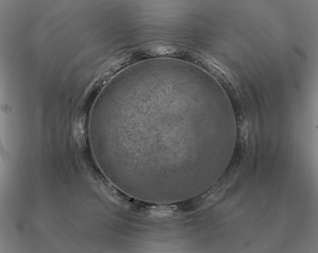 X0000090930373200708061608