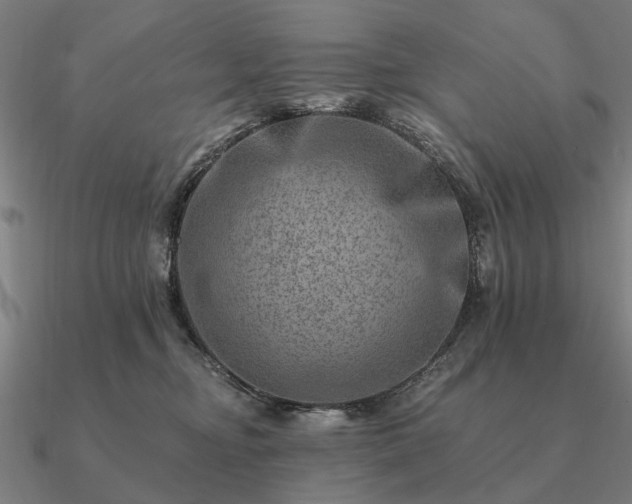 X0000090930374200708061608