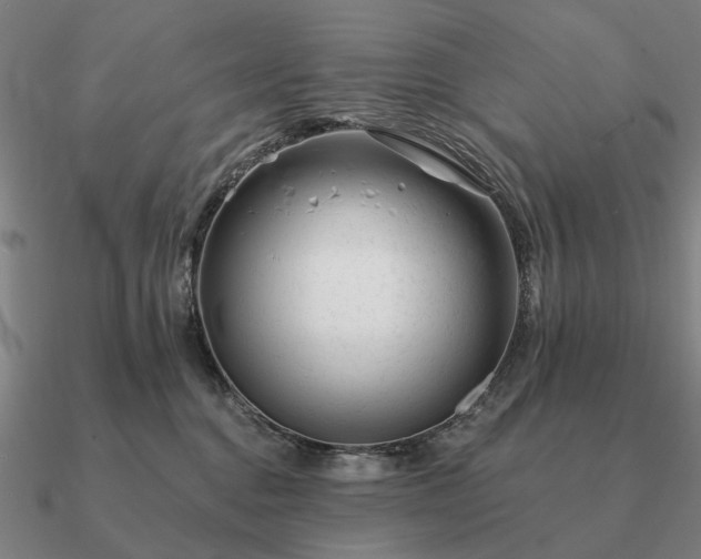 X0000090930376200708061608