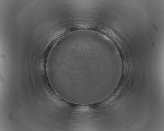 X0000090930377200708061608