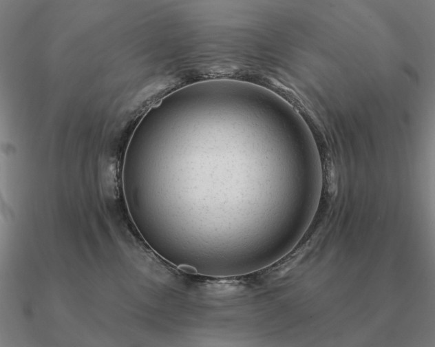 X0000090930378200708061608