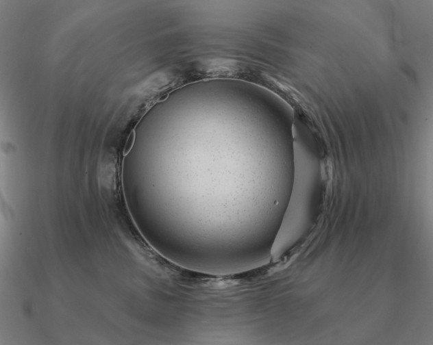 X0000090930379200708061608