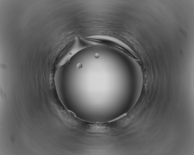 X0000090930380200708061608