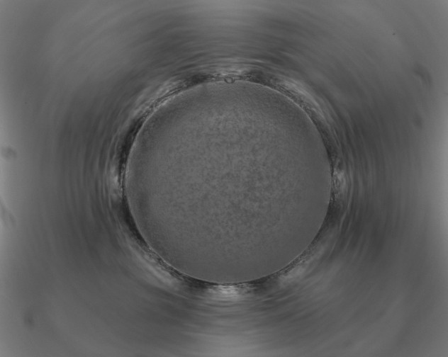 X0000090930381200708061608