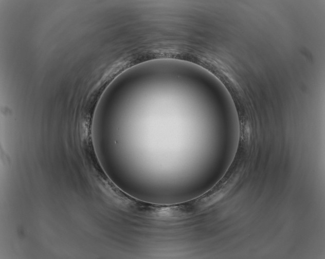 X0000090930382200708061608