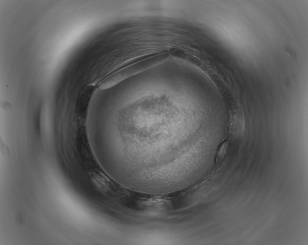 X0000090930383200708061608