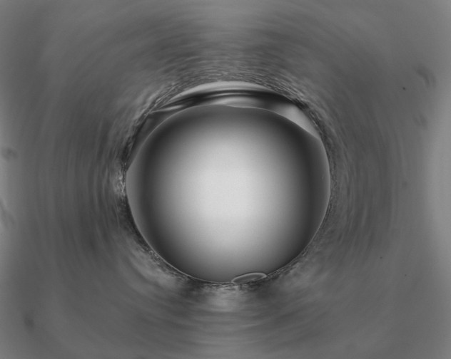 X0000090930384200708061608