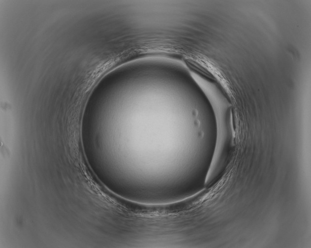 X0000090930385200708061607