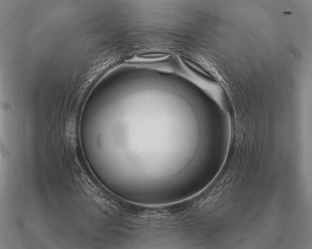 X0000090930386200708061607