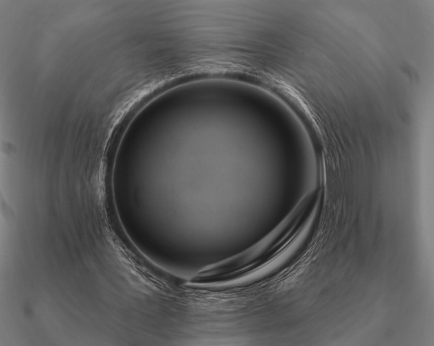 X0000090930387200708061607