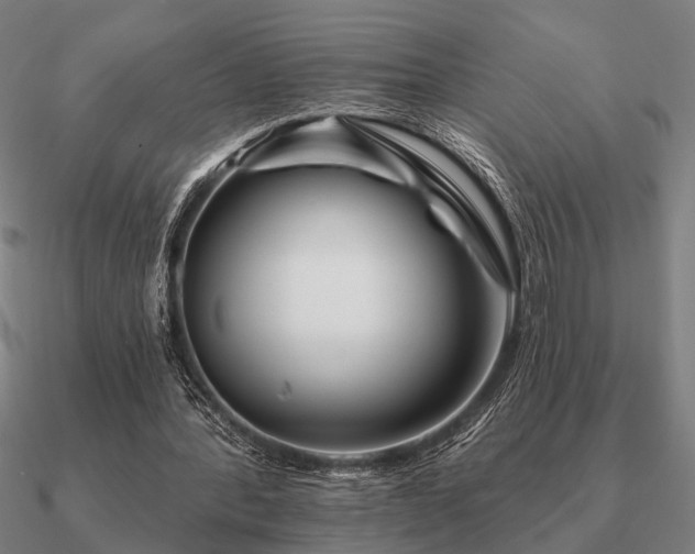 X0000090930388200708061607