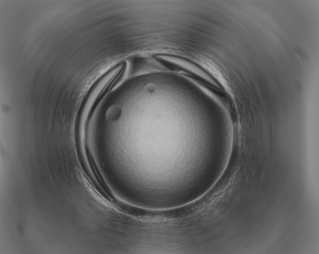 X0000090930389200708061607