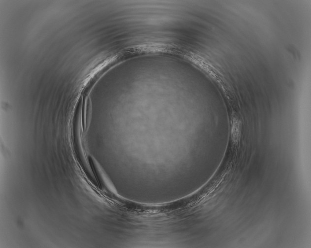 X0000090930390200708061607