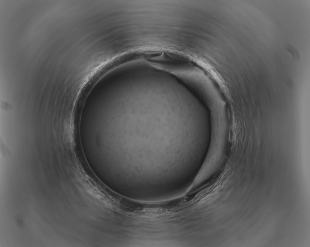 X0000090930391200708061607