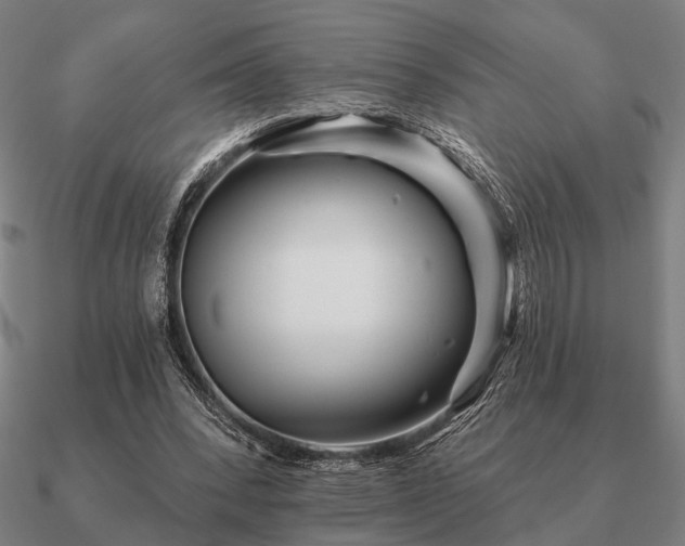 X0000090930392200708061607