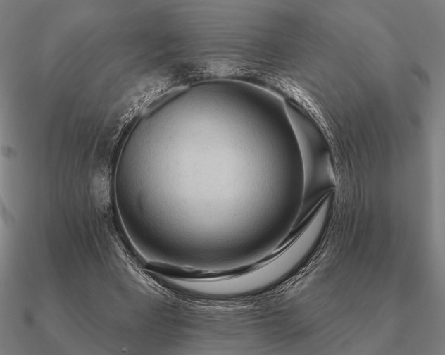 X0000090930393200708061607