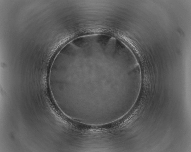 X0000090930394200708061607