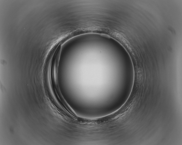 X0000090930395200708061607