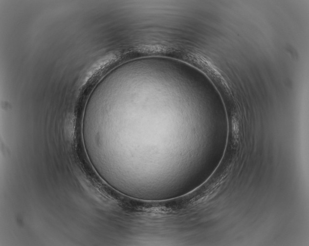 X0000090930396200708061607