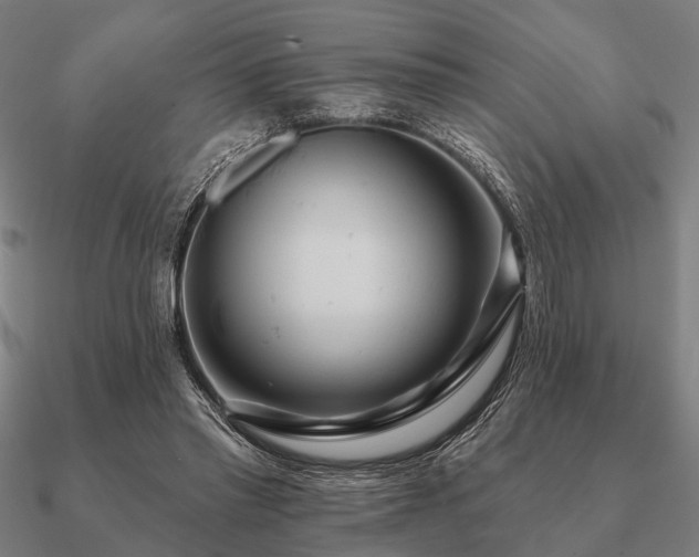 X0000090930397200708061607