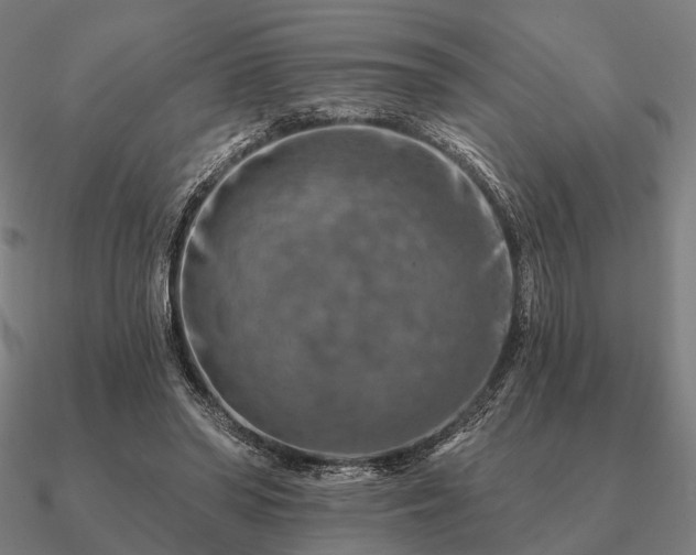 X0000090930398200708061607