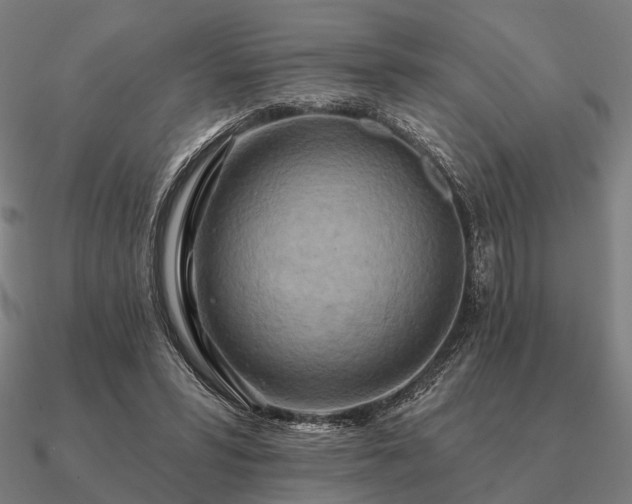 X0000090930399200708061607