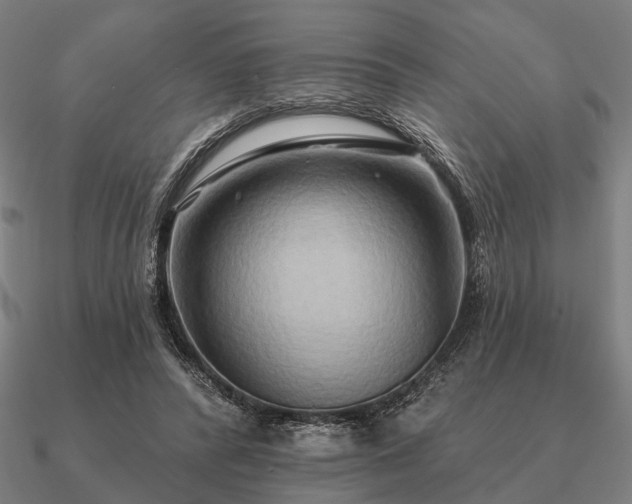 X0000090930400200708061607