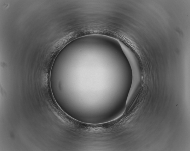 X0000090930401200708061607