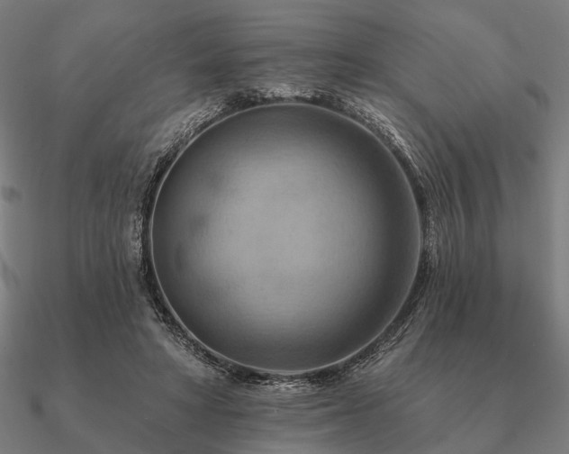 X0000090930402200708061607