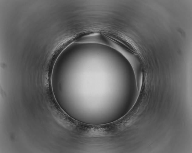 X0000090930403200708061607