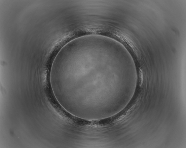 X0000090930404200708061607