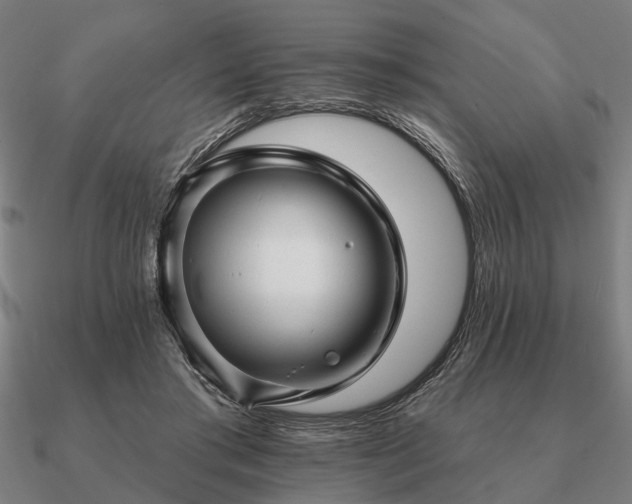 X0000090930405200708061607