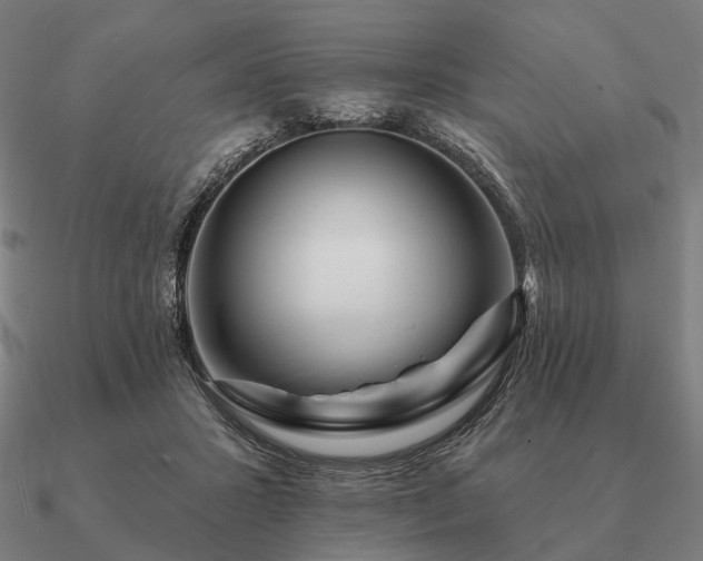 X0000090930407200708061607