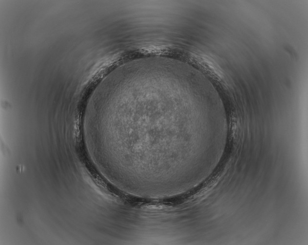 X0000090930408200708061607