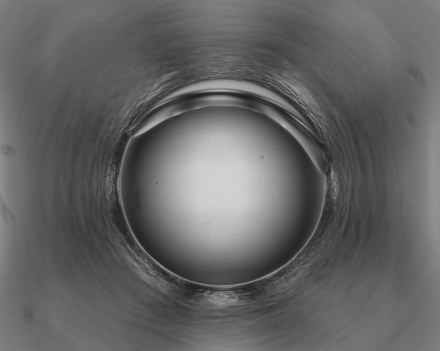 X0000090930409200708061607